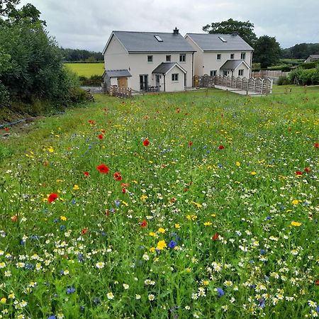 Family Country Cottage With Stunning Mountain Views Myddfai Luaran gambar