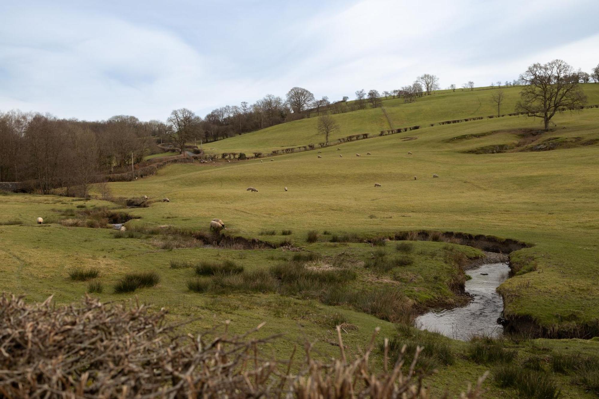 Family Country Cottage With Stunning Mountain Views Myddfai Luaran gambar